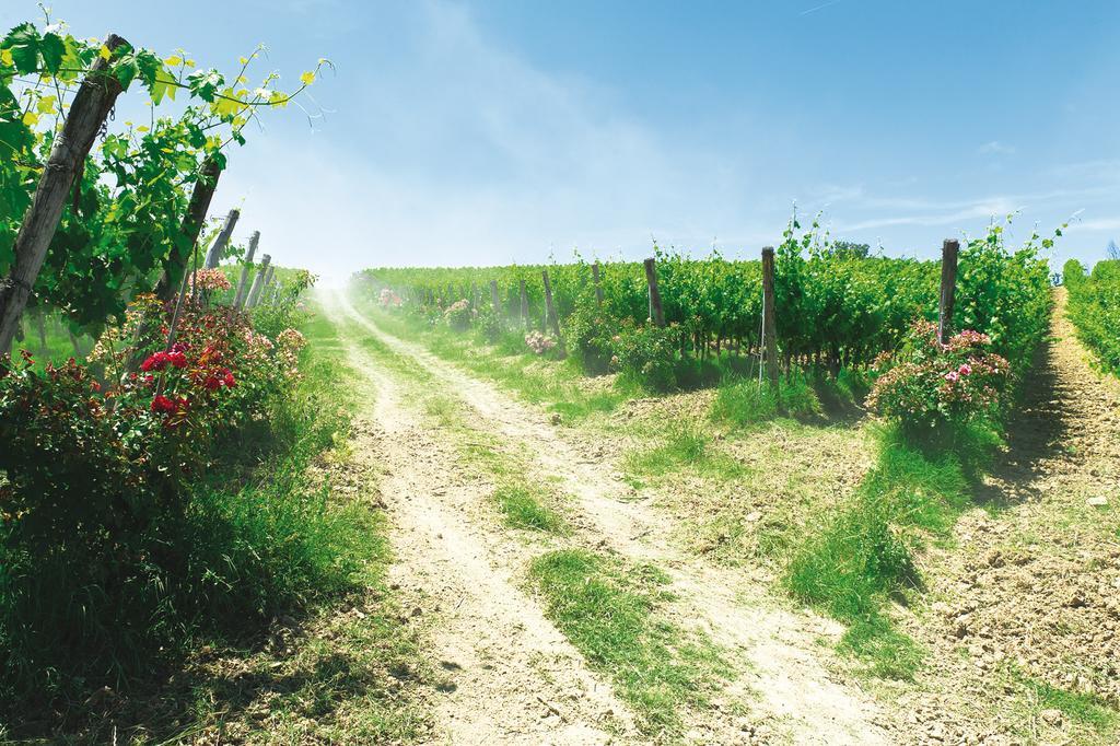 Roccafiore Wine Resort & Spa Todi Zewnętrze zdjęcie