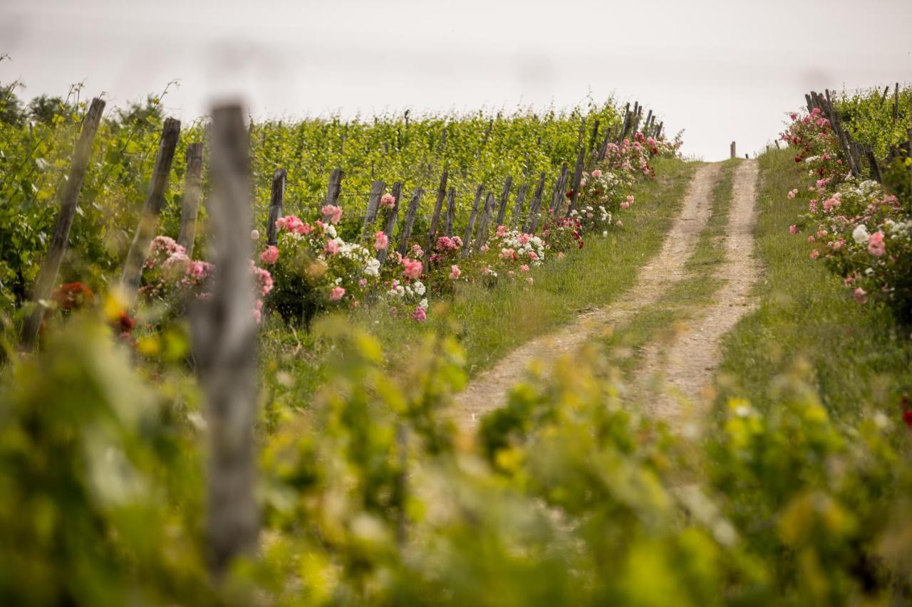 Roccafiore Wine Resort & Spa Todi Zewnętrze zdjęcie