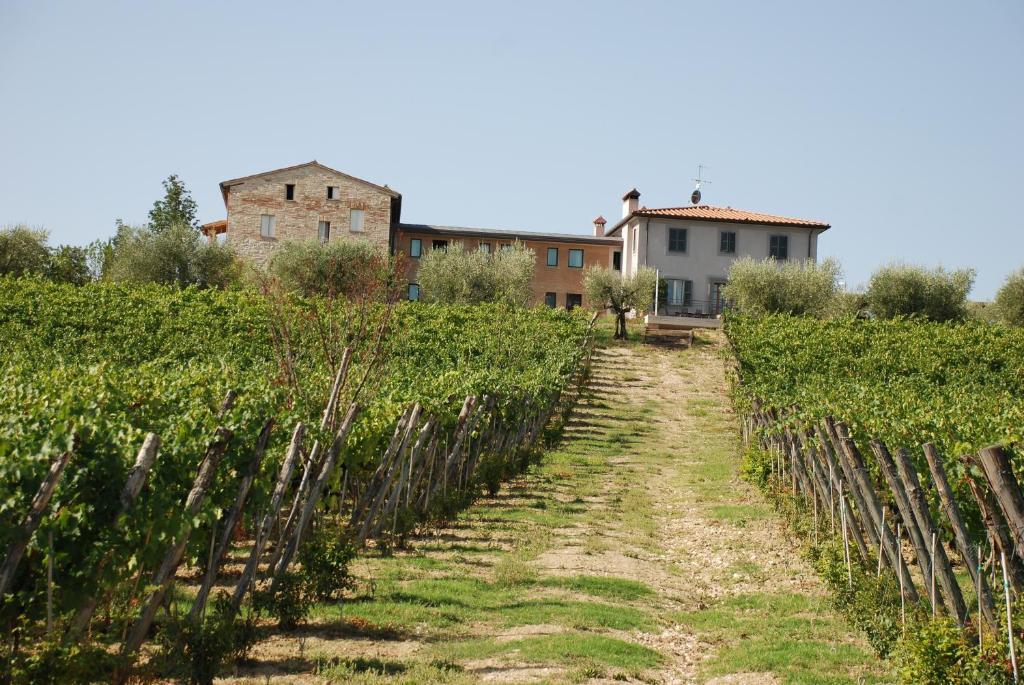 Roccafiore Wine Resort & Spa Todi Zewnętrze zdjęcie